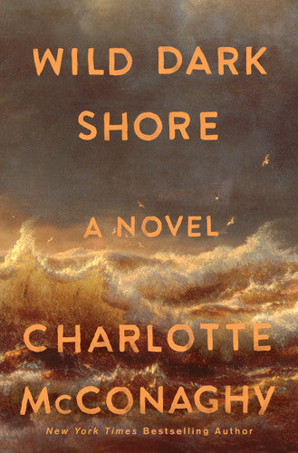 Wild Dark Shore by Charlotte McConaughy