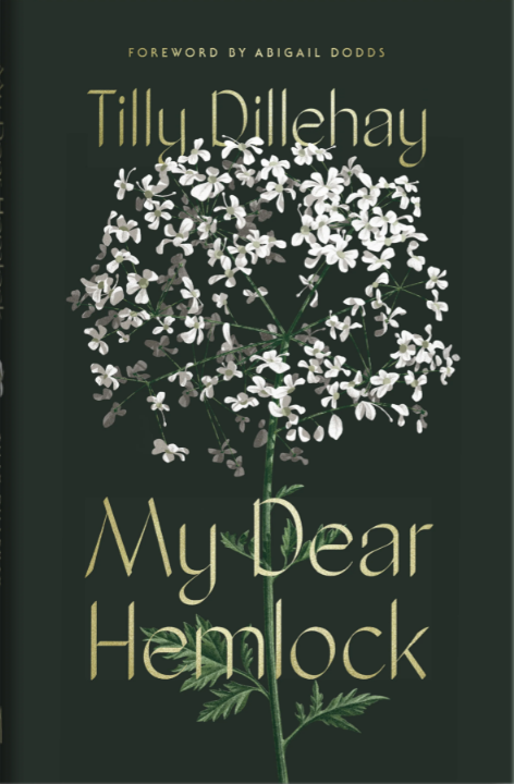 My Dear Hemlock by Tilly Dillehay