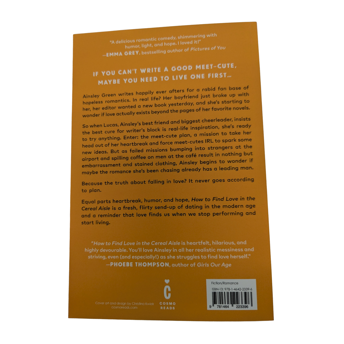 how-to-find-love-in-the-cereal-aisle-alissa-derogatis-paperback.jpg