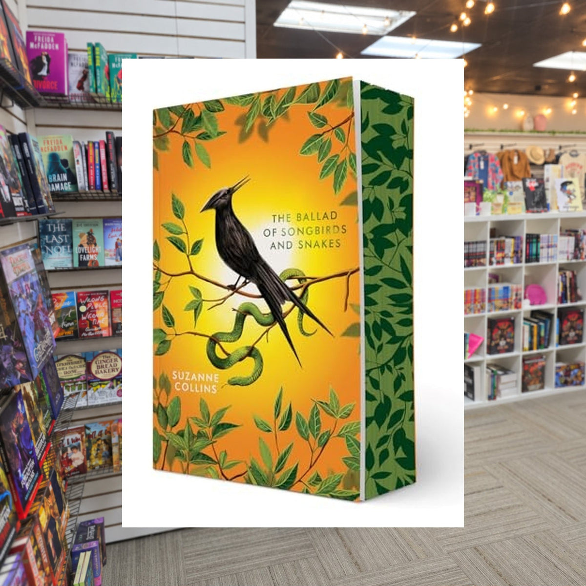 The Hunger Games #4: The Ballad of Songbirds and Snakes by Suzanne Collins — actual cover on The Perk bookstore background