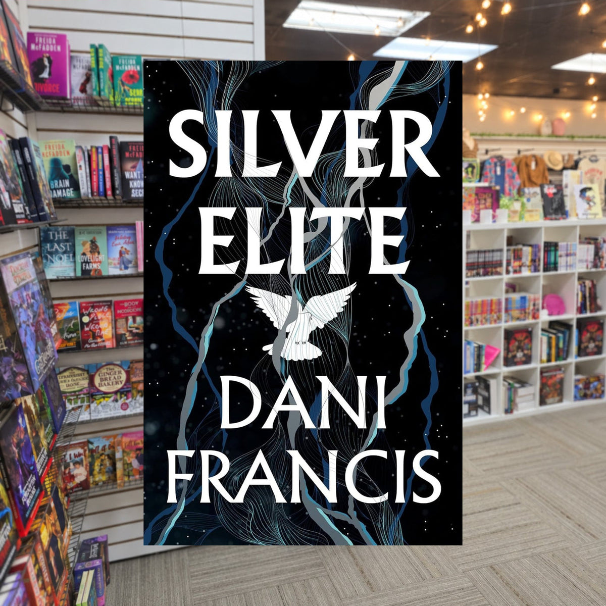 Silver Elite by Dani Francis — actual cover on The Perk bookstore background