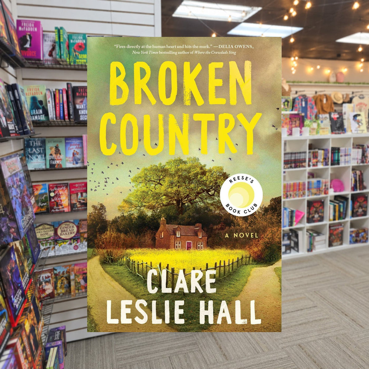 Broken Country by Clare Leslie Hall — actual cover on The Perk bookstore background