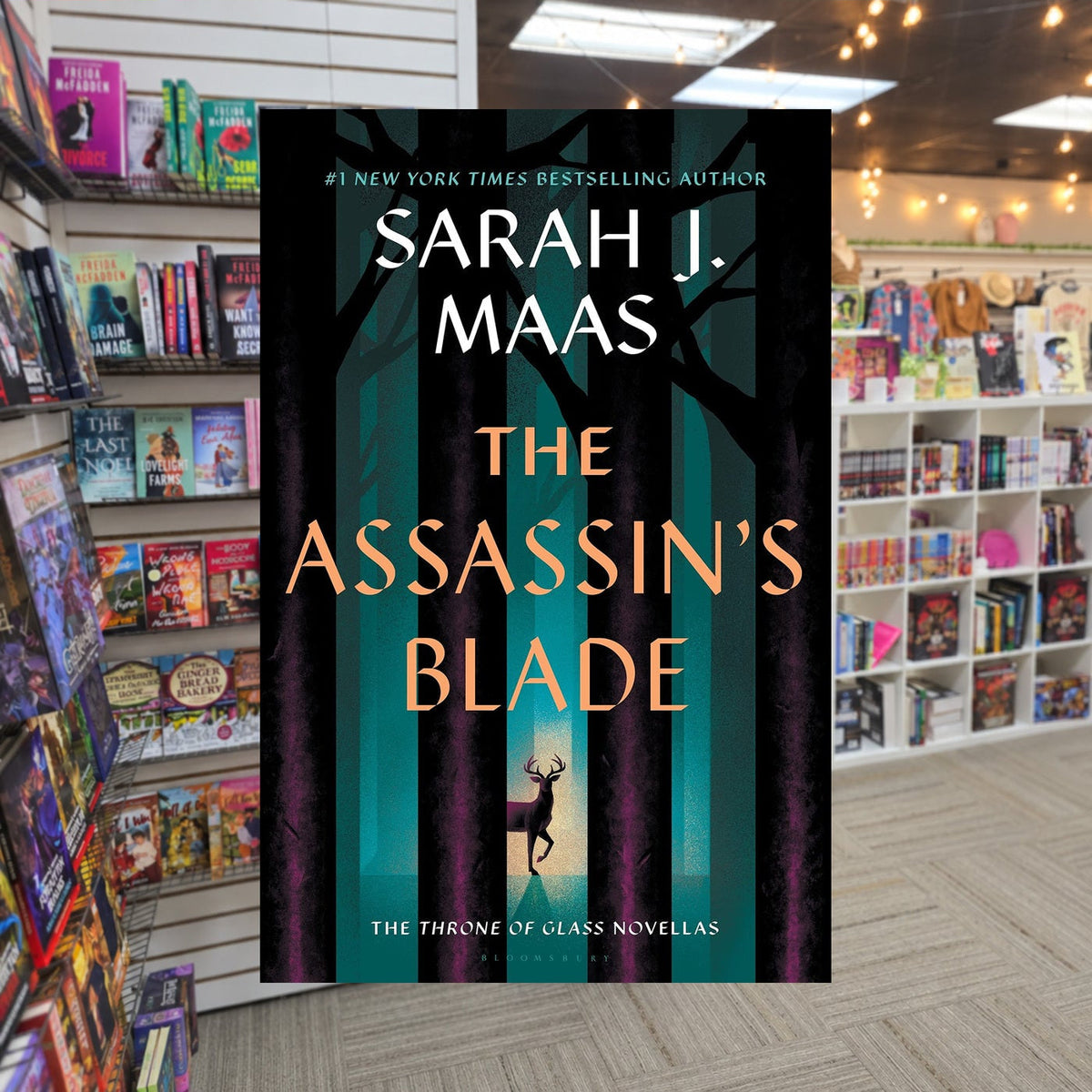 The Assassin's blade by Sarah J. Maas — actual cover on The Perk bookstore background