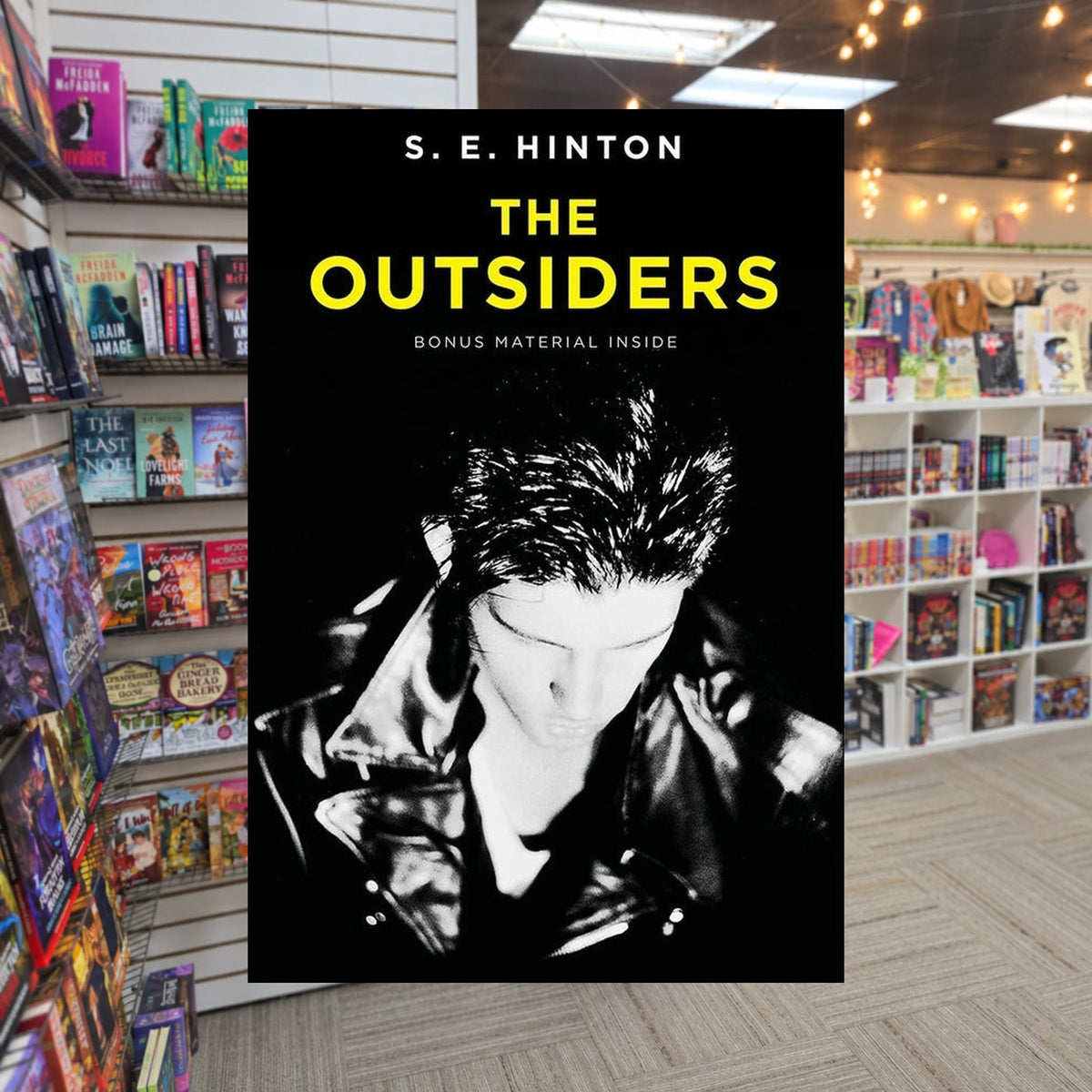 The Outsiders by S.E. Hinton — actual cover on The Perk bookstore background