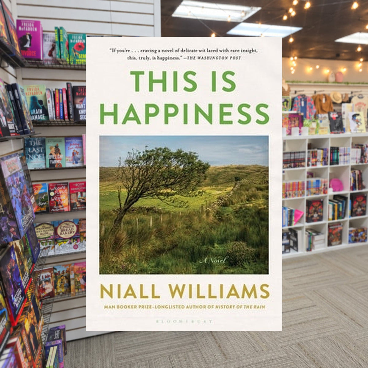 This Is Happiness by Niall Williams — actual cover on The Perk bookstore background