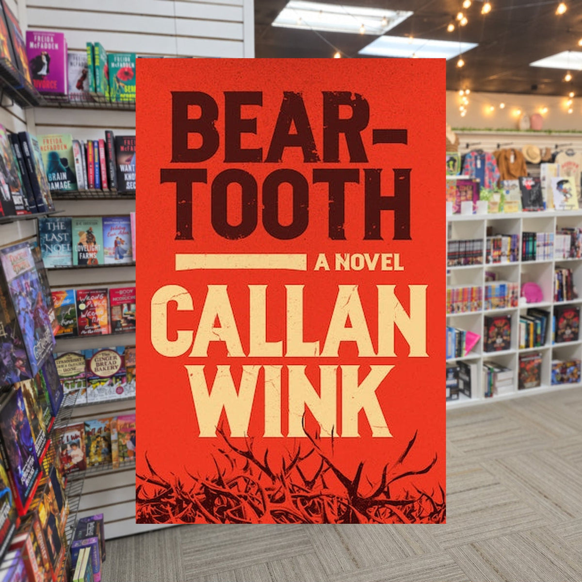 Beartooth by Callan Wink — actual cover on The Perk bookstore background