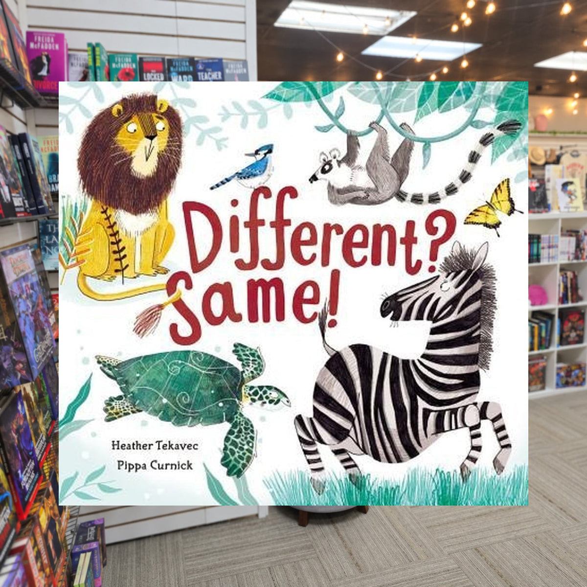 Different? Same! by Heather Tekavec — actual cover on The Perk bookstore background