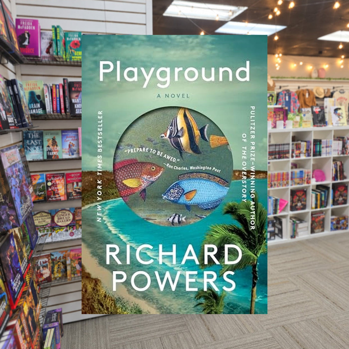 Playground: A Novel by Richard Powers — actual cover on The Perk bookstore background