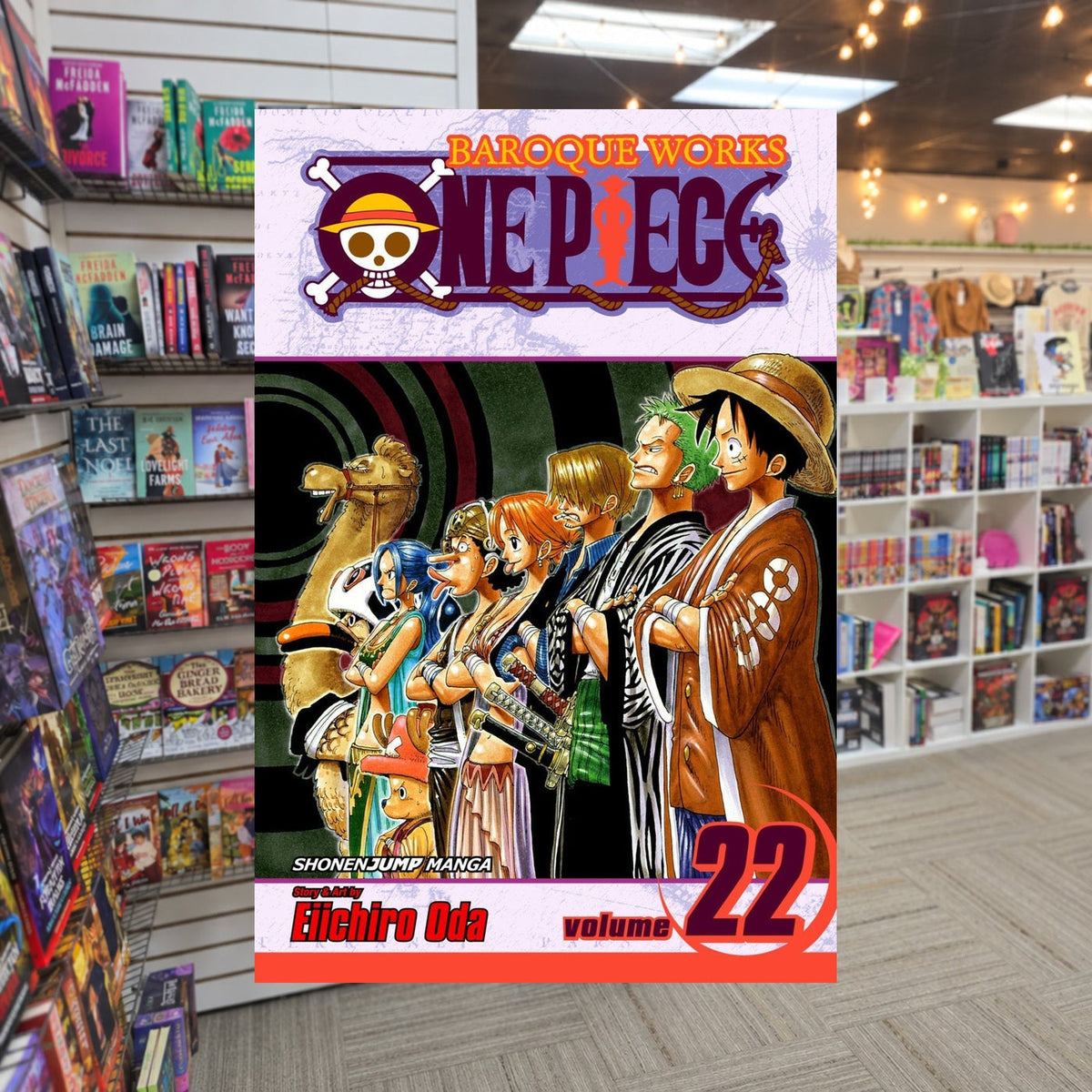 One Piece, Volume 22: Hope!! by Eiichiro Oda — actual cover on The Perk bookstore background