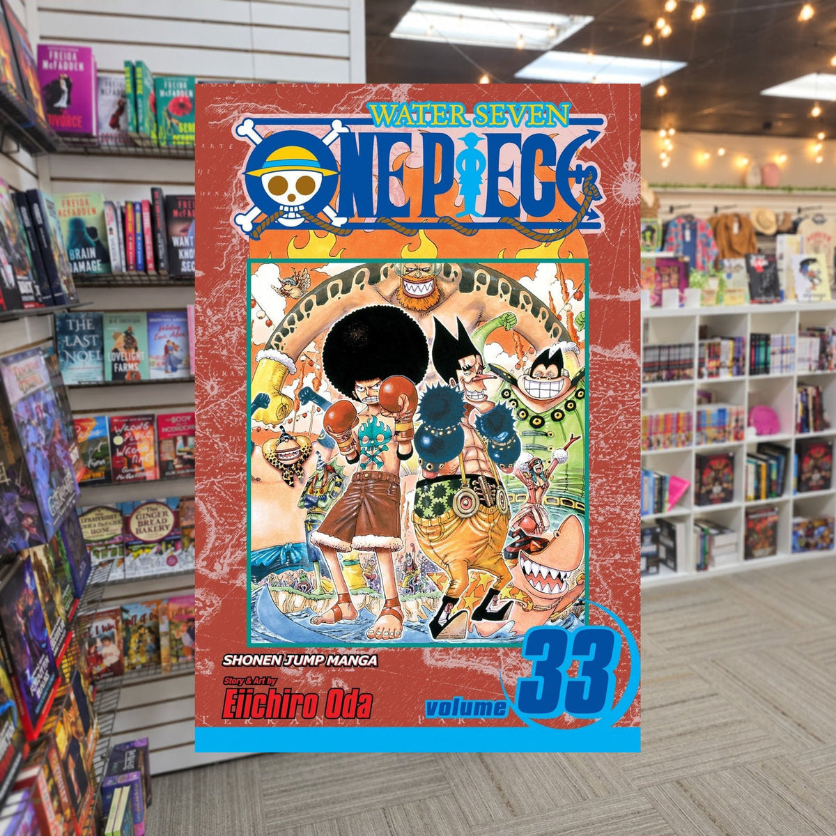 One Piece, Volume 33: Davy Back Fight by Eiichiro Oda — actual cover on The Perk bookstore background