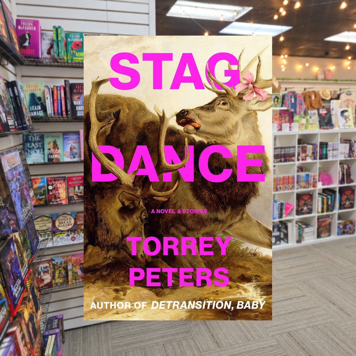 Stag Dance by Torrey Peters — actual cover on The Perk bookstore background